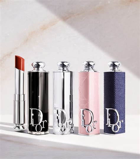 christian dior lipstick case